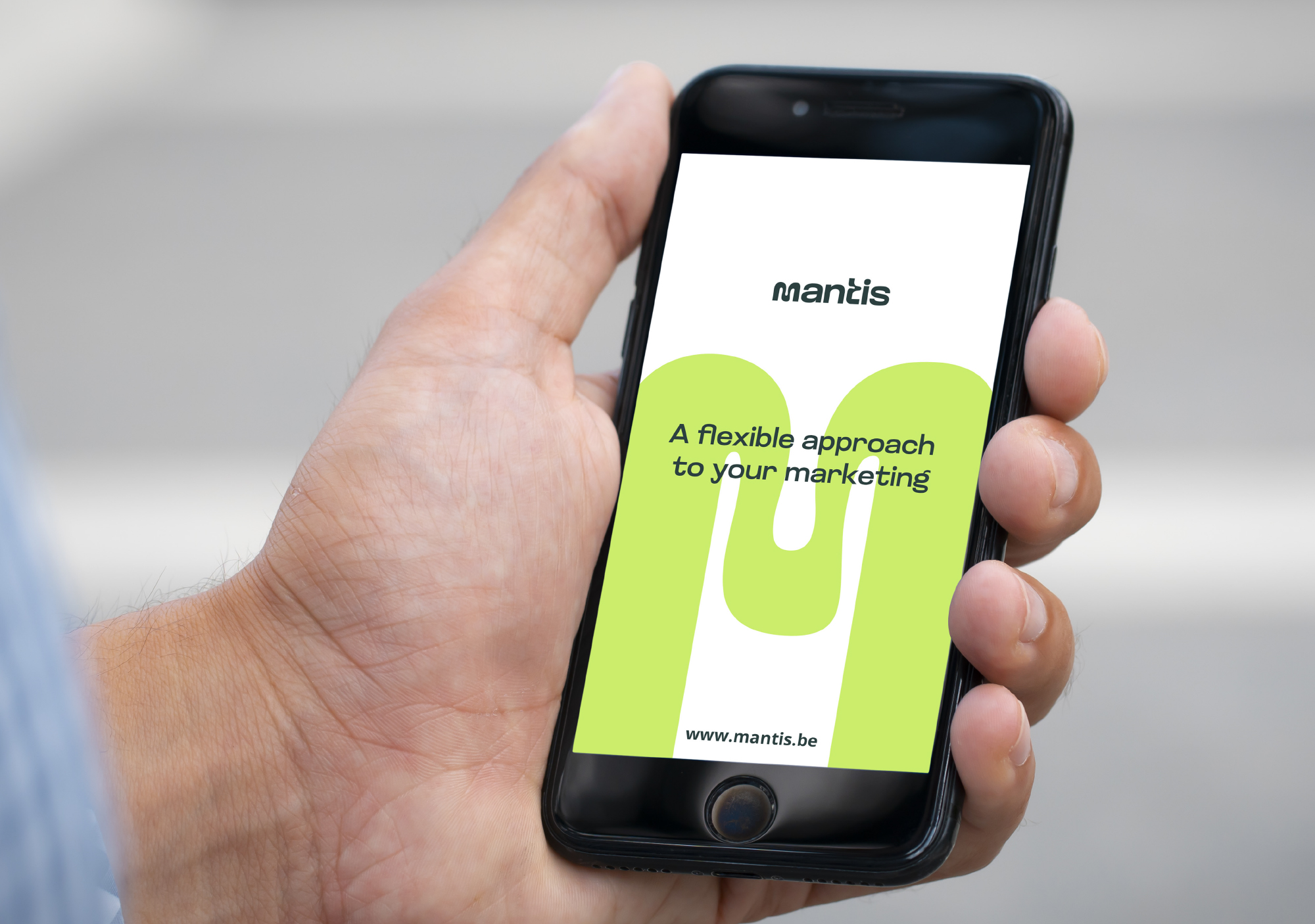 Website design Mantis