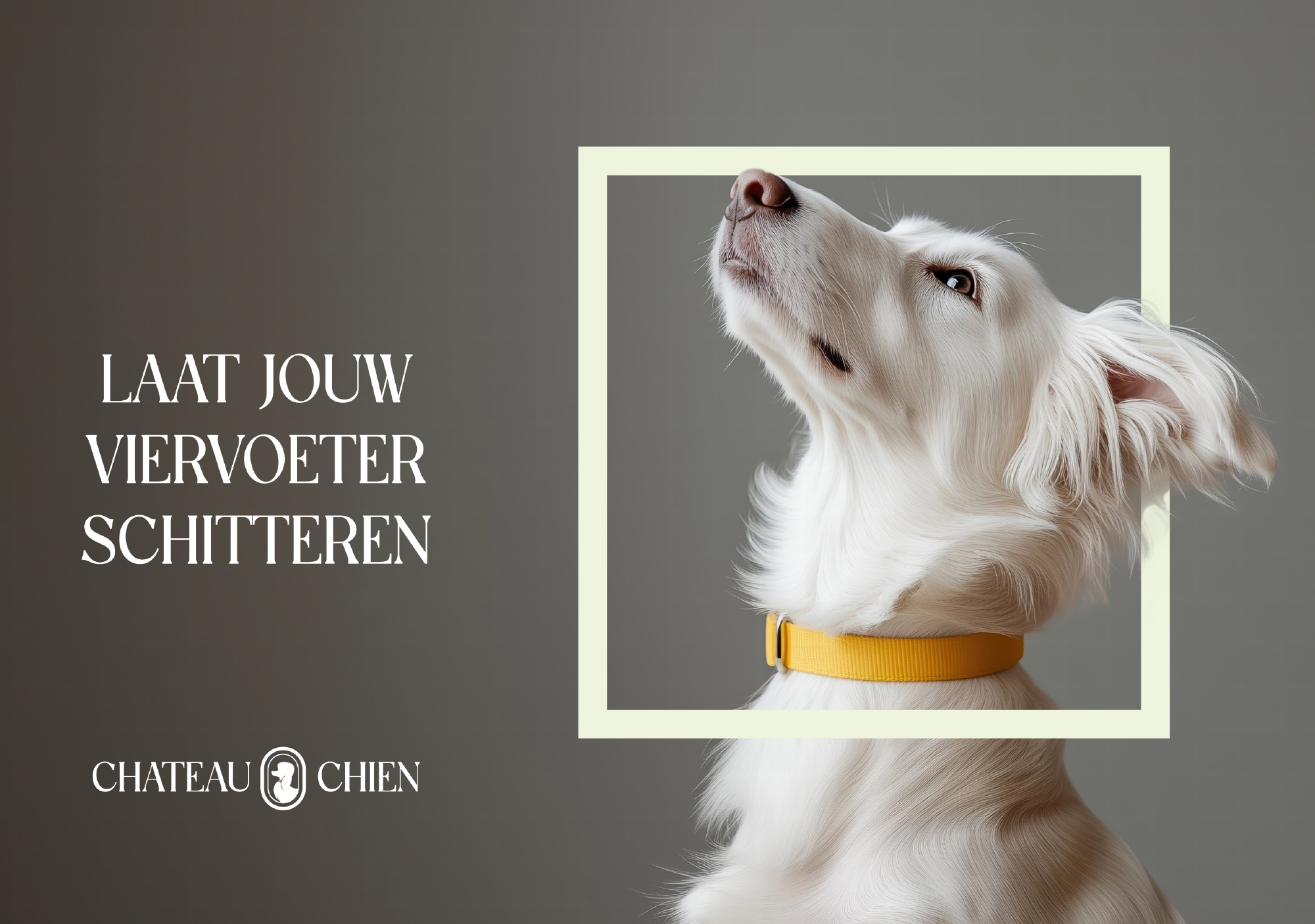 Grafische bureau Hasselt