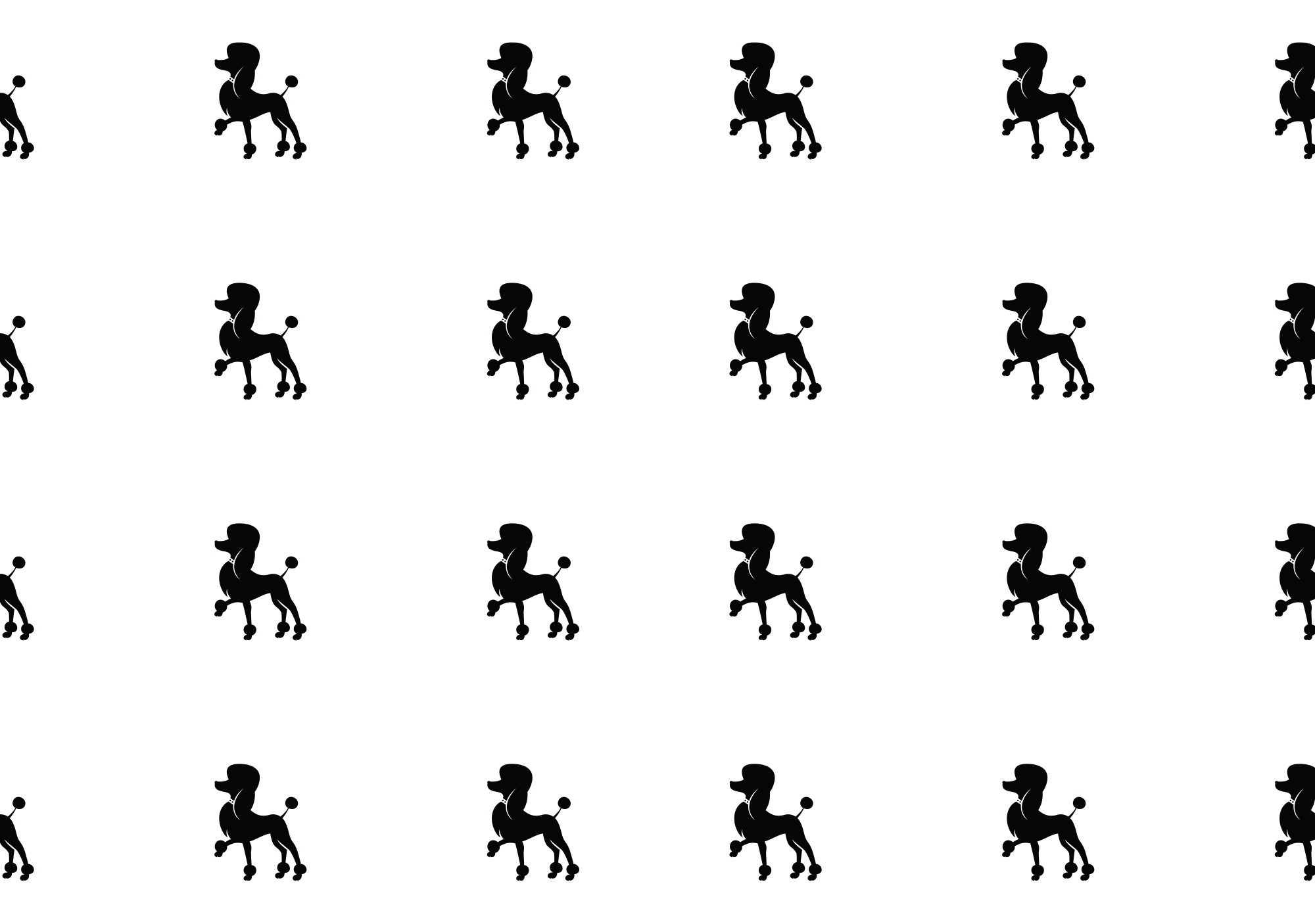 Website laten maken in Limburg