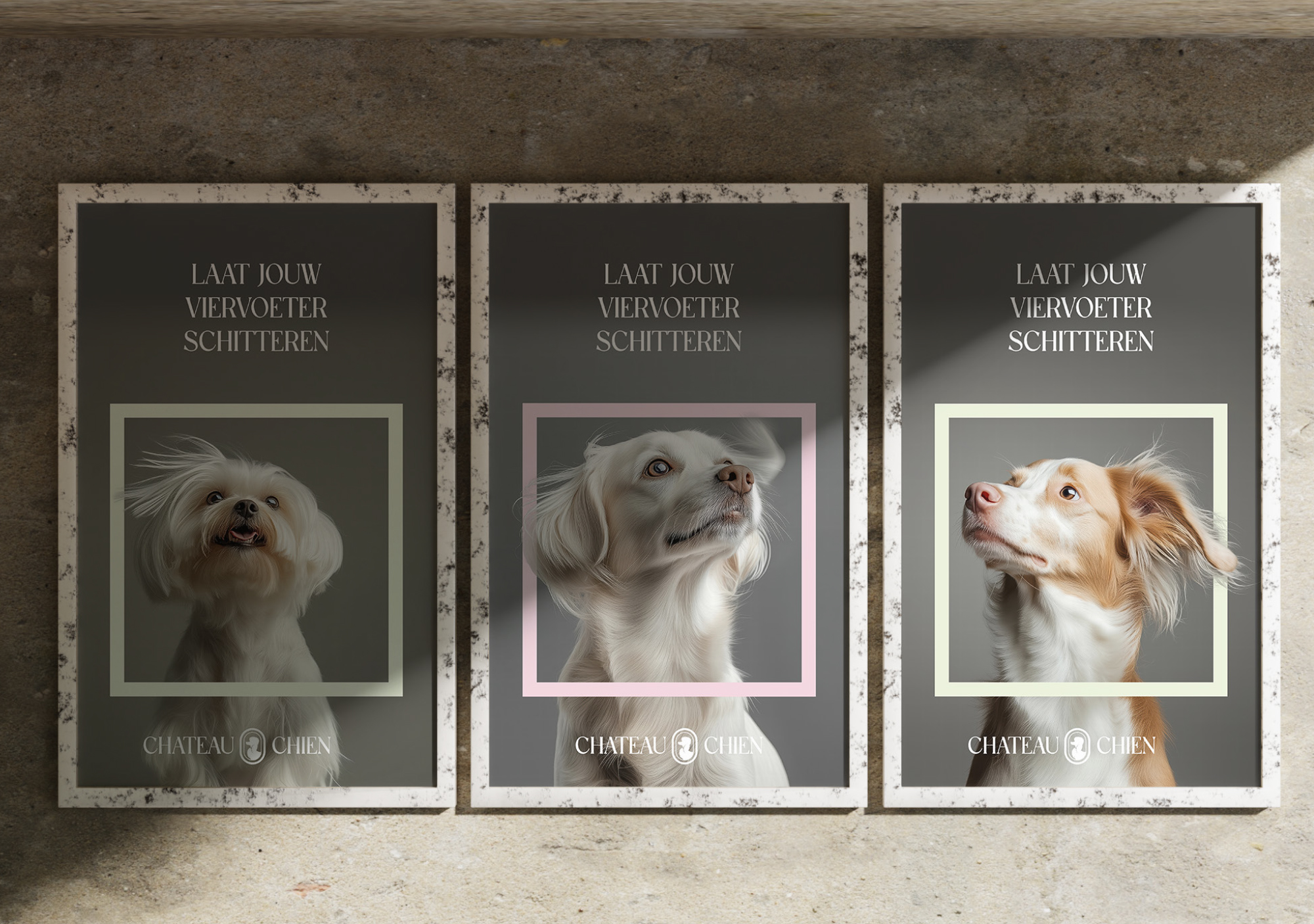 Grafisch vormgever Zonhoven