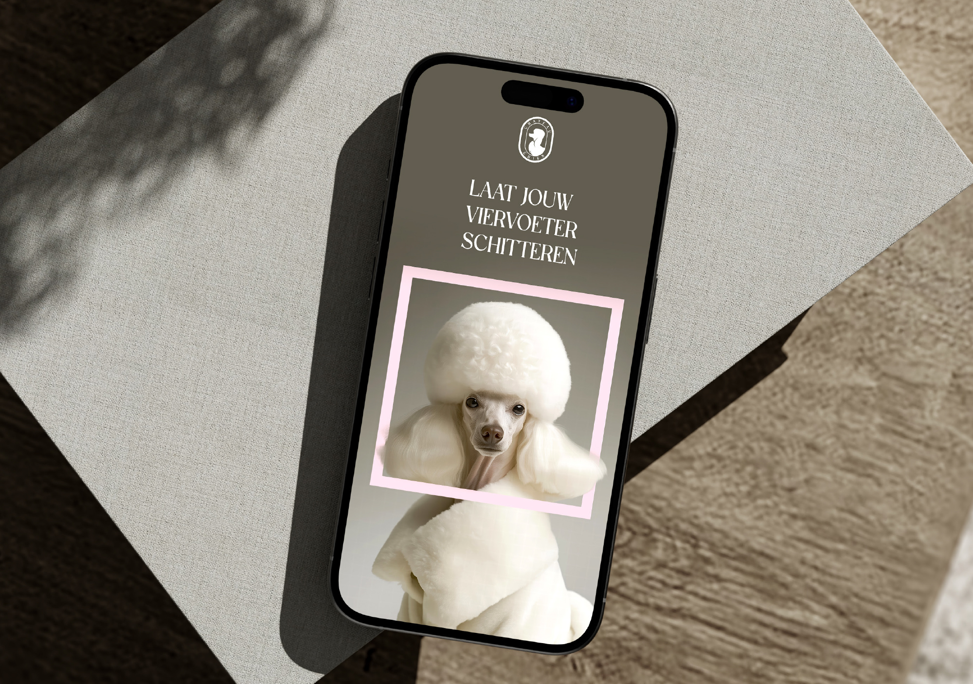 Gafisch vormgever Hasselt