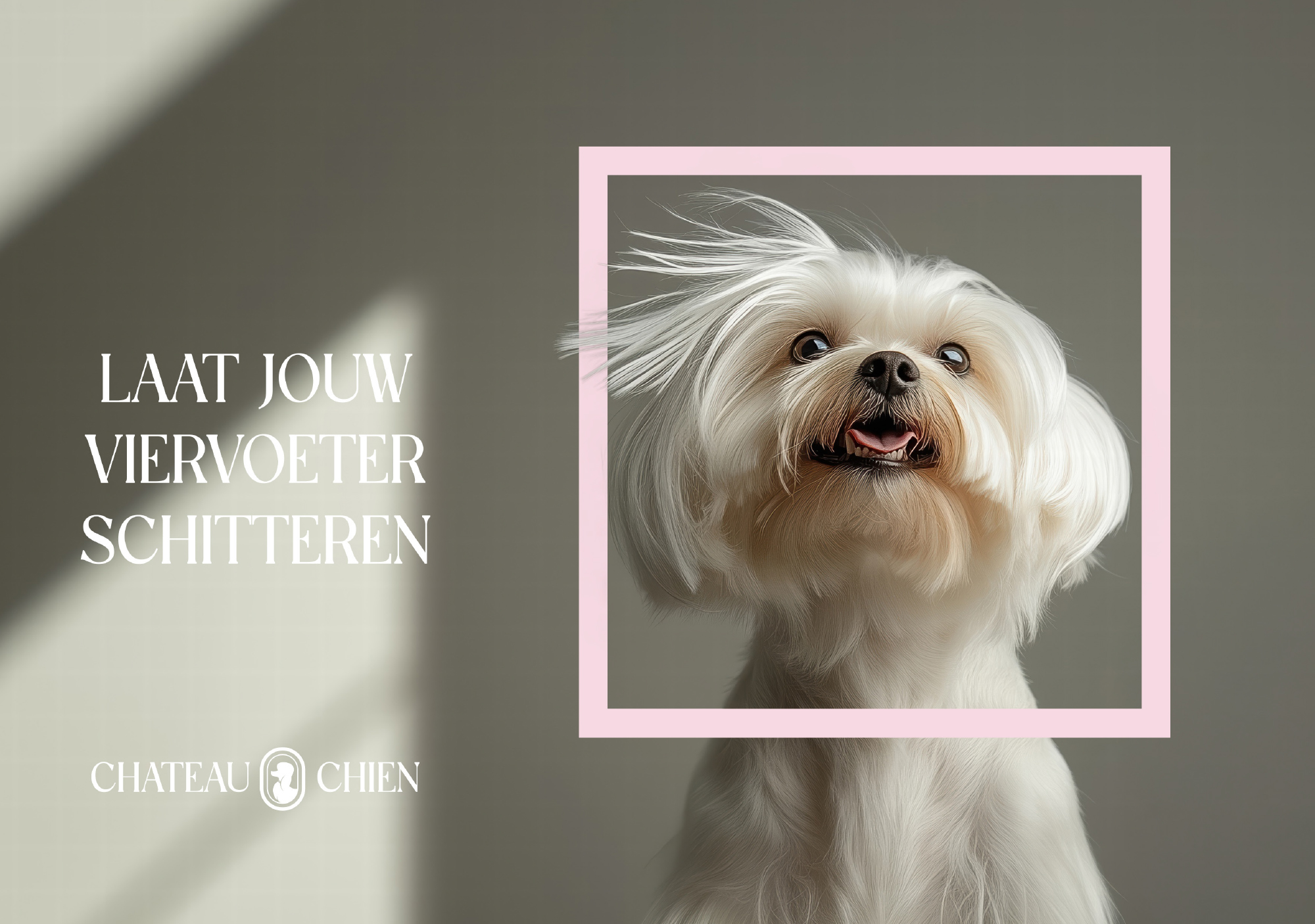 Grafisch bureau Hasselt